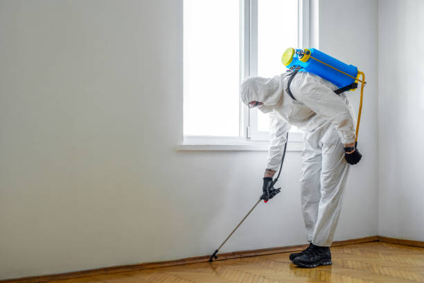 Pest Control for Hotels in Rodney Village, DE